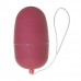 Loving Joy Remote Control Wireless Egg